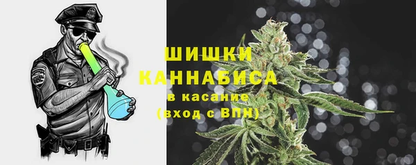спиды Бердск