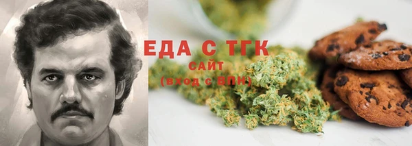 индика Михайлов