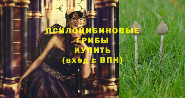 дмт Медвежьегорск