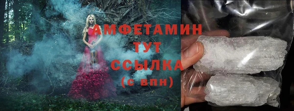 индика Михайлов